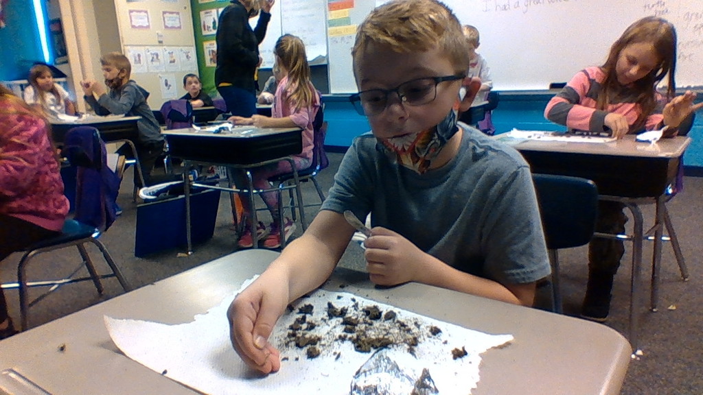 Students find skeletons of prey in owl pellets with Mrs. Snelling's class.