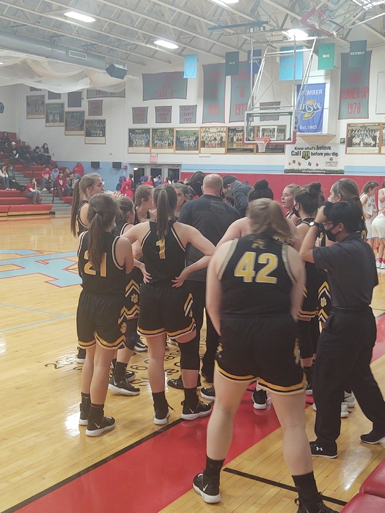Lady Lions tumeout