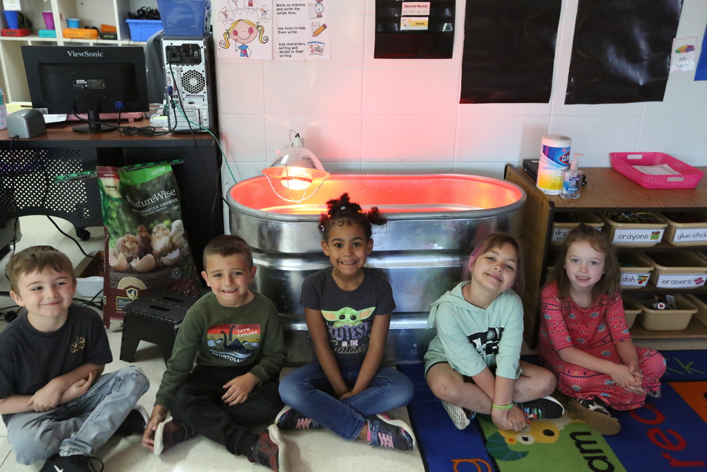 Mrs. Williams students with chicks